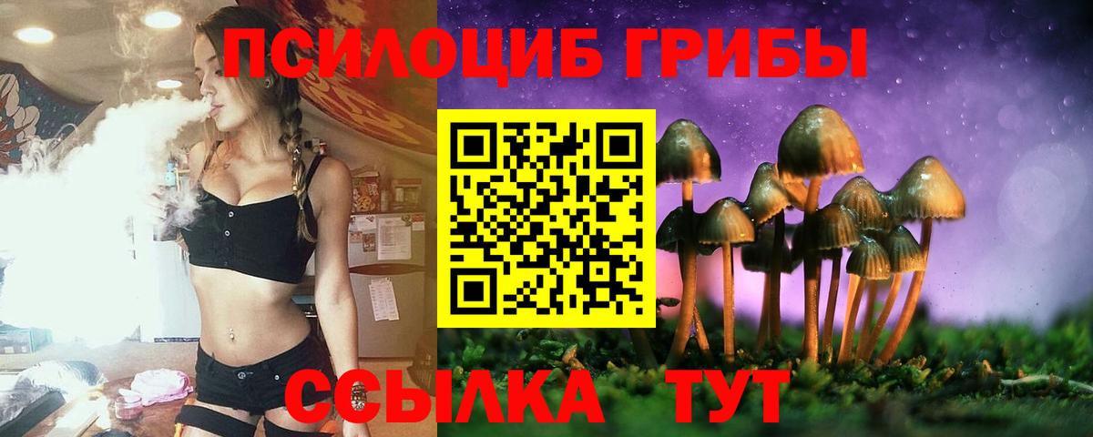 цена   Галлюциногенные грибы Cubensis  Вход с VPN  Новошахтинск 