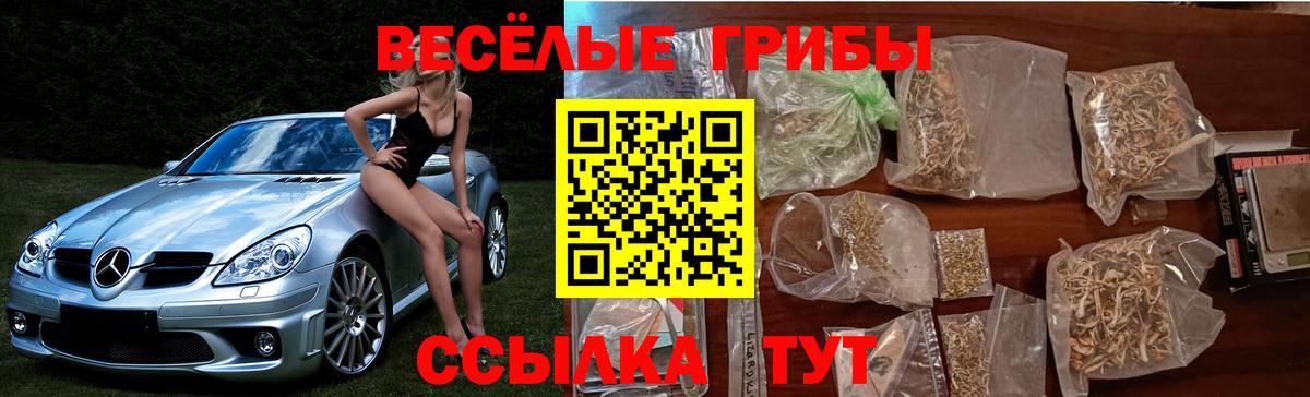 Галлюциногенные грибы мицелий Новошахтинск